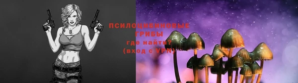 PSILOCYBIN Вязьма